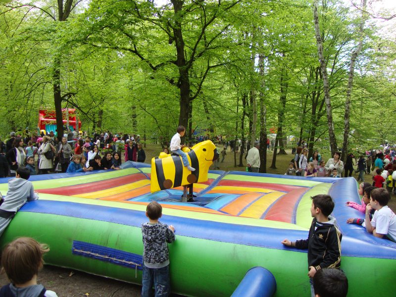 Bullriding Rodeo Ente