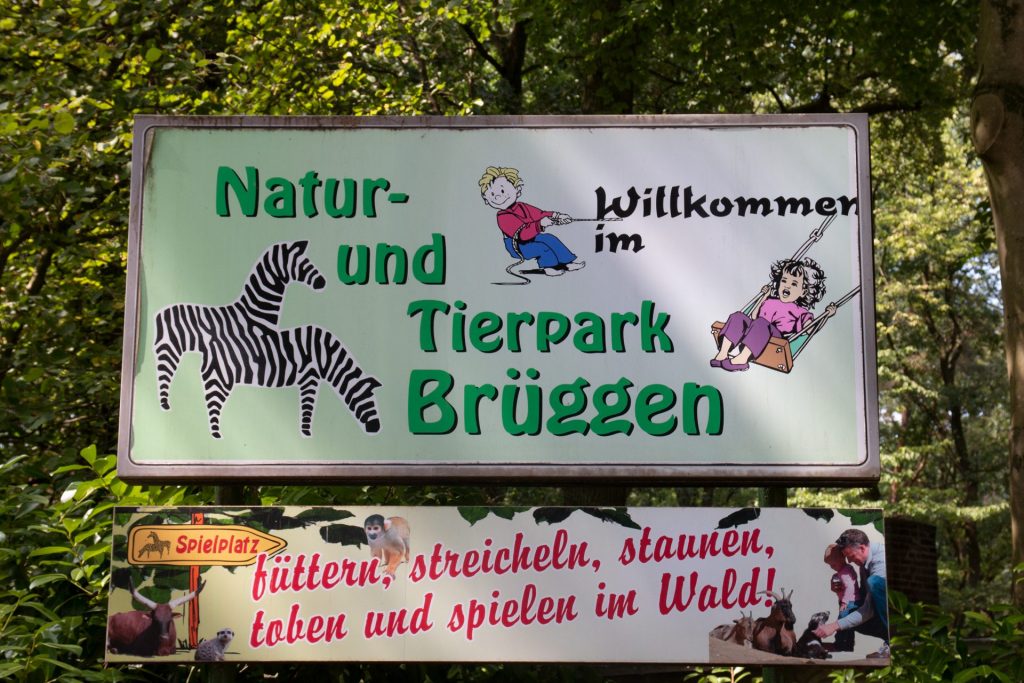 Wie Tarzan im Dschungel