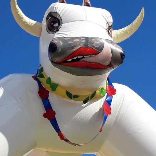Hüpfburg (heilige) Kuh